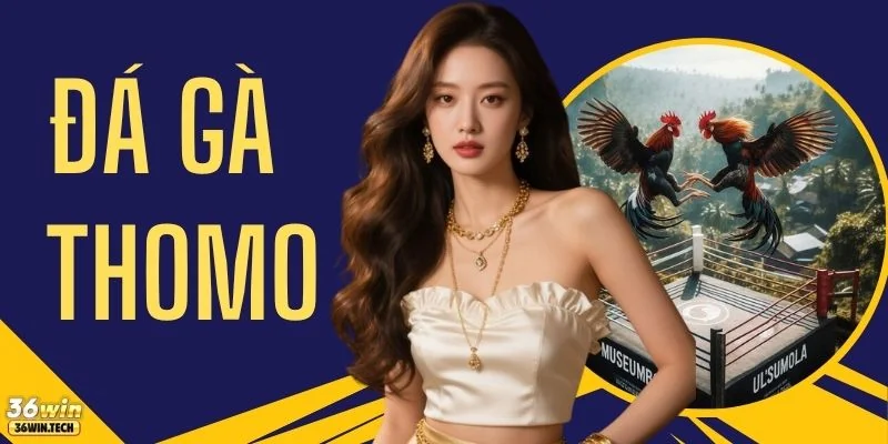 Đá Gà Thomo Trực Tiếp 4K Cập Nhật 50 Trận Đấu Kịch Tính