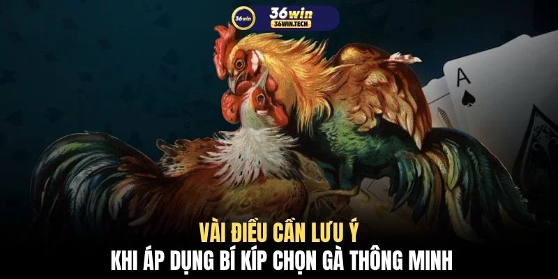 Vài điều cần lưu ý khi áp dụng bí kíp chọn gà thông minh